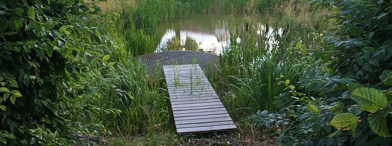 Wette in Stetten