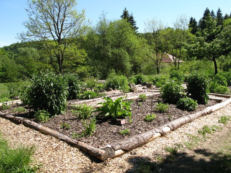 Kräutergarten