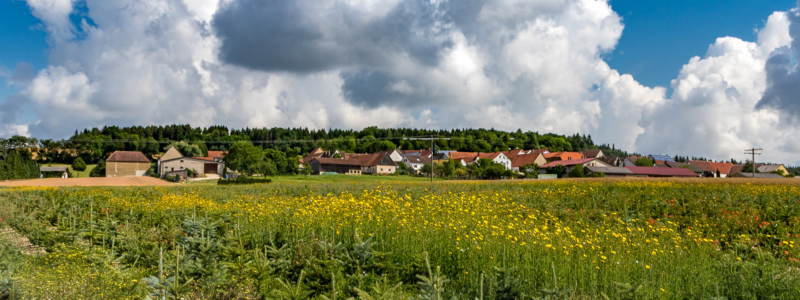Ortsübersicht Weilermerkingen
