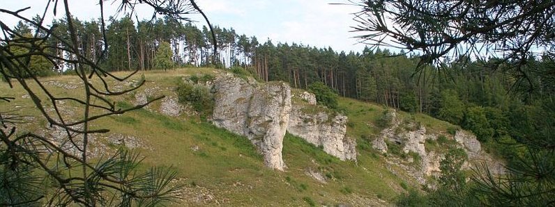 Dossinger Tal